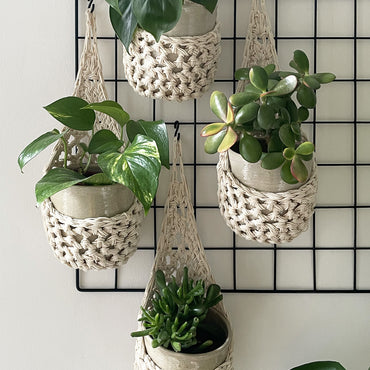 Image showing four cream wall mounted planters hanging together in a group, each one containing a pots and plant. Handmade cotton crochet plant baskets, used to display houseplants creatively in your home.