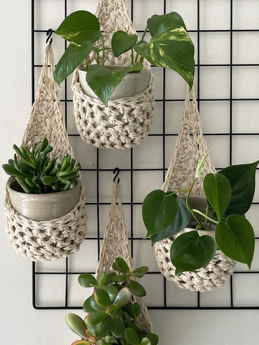 Image showing four cream wall mounted planters hanging together in a group, each one containing a pots and plant. Handmade cotton crochet plant baskets, used to display houseplants creatively in your home. 