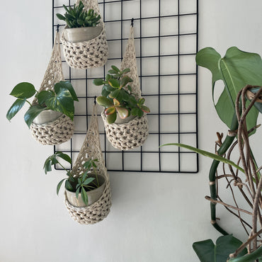 Image showing zoomed out view of a white wall with four cream wall mounted planters hanging together in a group, each one containing a pots and plant. Handmade cotton crochet plant baskets, used to display houseplants creatively in your home.