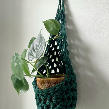 Image showing handmade green wall planter suspended against a white wall showing the tierdrop shape with pot and trailing plant from small nail in the wall