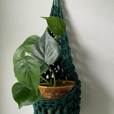 Image showing handmade green wall planter suspended against a white wall showing the tierdrop shape with pot and trailing plant from small nail in the wall