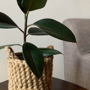 Photo showing crocheted jute plant basket, containing plant, placed on a small wooden table. Placed to the side of a living room sofa. The plant basket is made of natural jute, brown, and has two small handles.