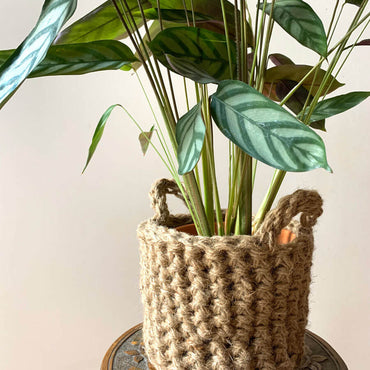 Photo showing jute plant basket, containing plant, placed on a small wooden table. The plant basket is made of natural jute, brown, and has two small handles.