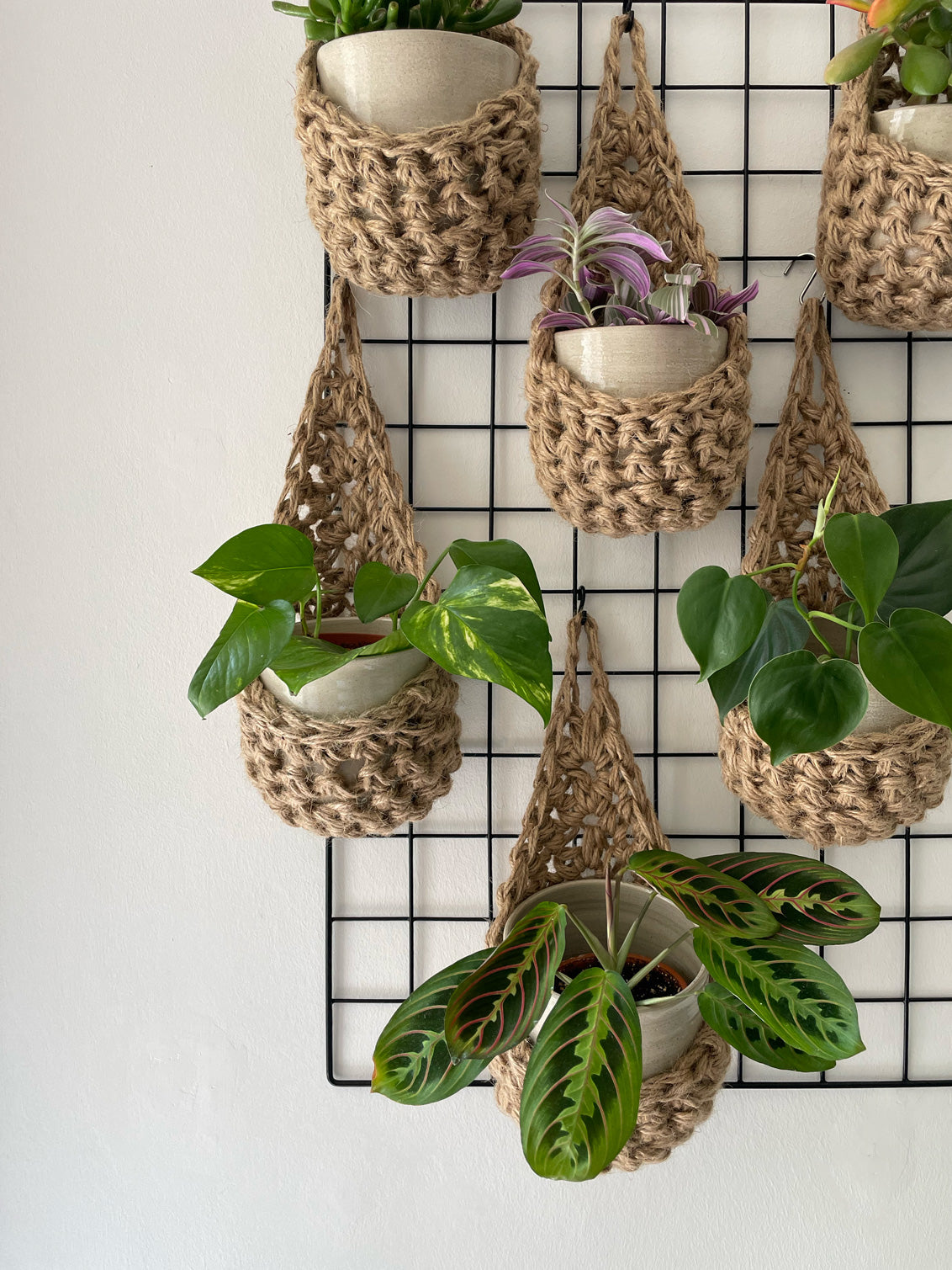 Image showing a close up photo of a grouping of 6 tierdrop shaped natural jute wall hanging planters. Each handmade planter is hung against the wall, holding a ceramic pot and plant. Photo is showing a creative sapce saving method of showing of your houseplants.  