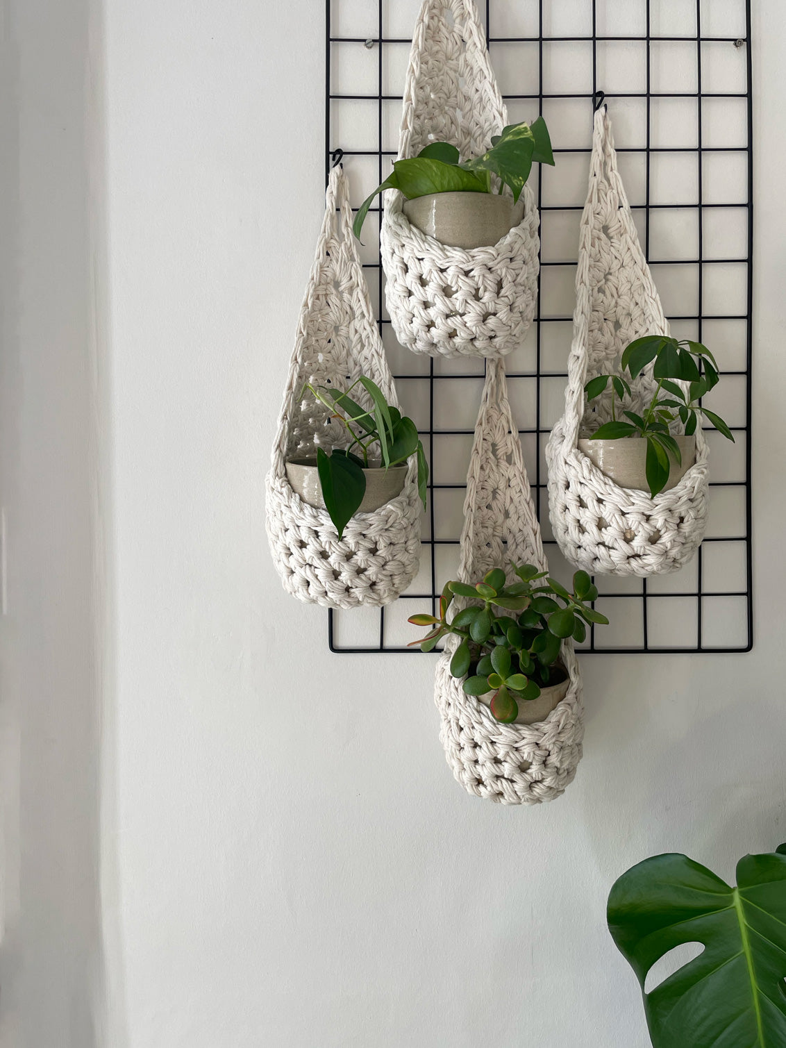 Image of a white wall with four white wall mounted planters hanging together in a group, each one containing a pots and plant. Handmade cotton crochet plant baskets, used to display houseplants creatively in your home. Photo shows the basket shape which keeps your plants safe and secure 