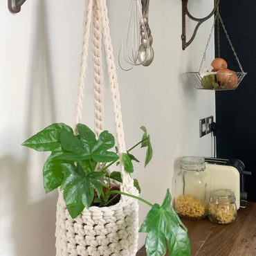 Indoor cream cotton hanging plant holder with three long crocheted straps, finished with a loop to hang up. Image shows planter hanging in a kitchen, from a hanging rail, with a pot and plant inside. Made with recycled cotton cord.