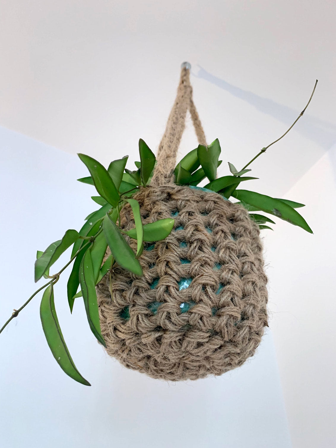 Natural Jute hanging plant holder with three long crocheted straps and pot shaped basket at the bottom of these straps designed for pot to be placed securely, finished with a loop to hang up. Photo showing the view from underneath the basket, showing the basket shape and texture of the firbres. The plant hanger is suspended from the ceiling.