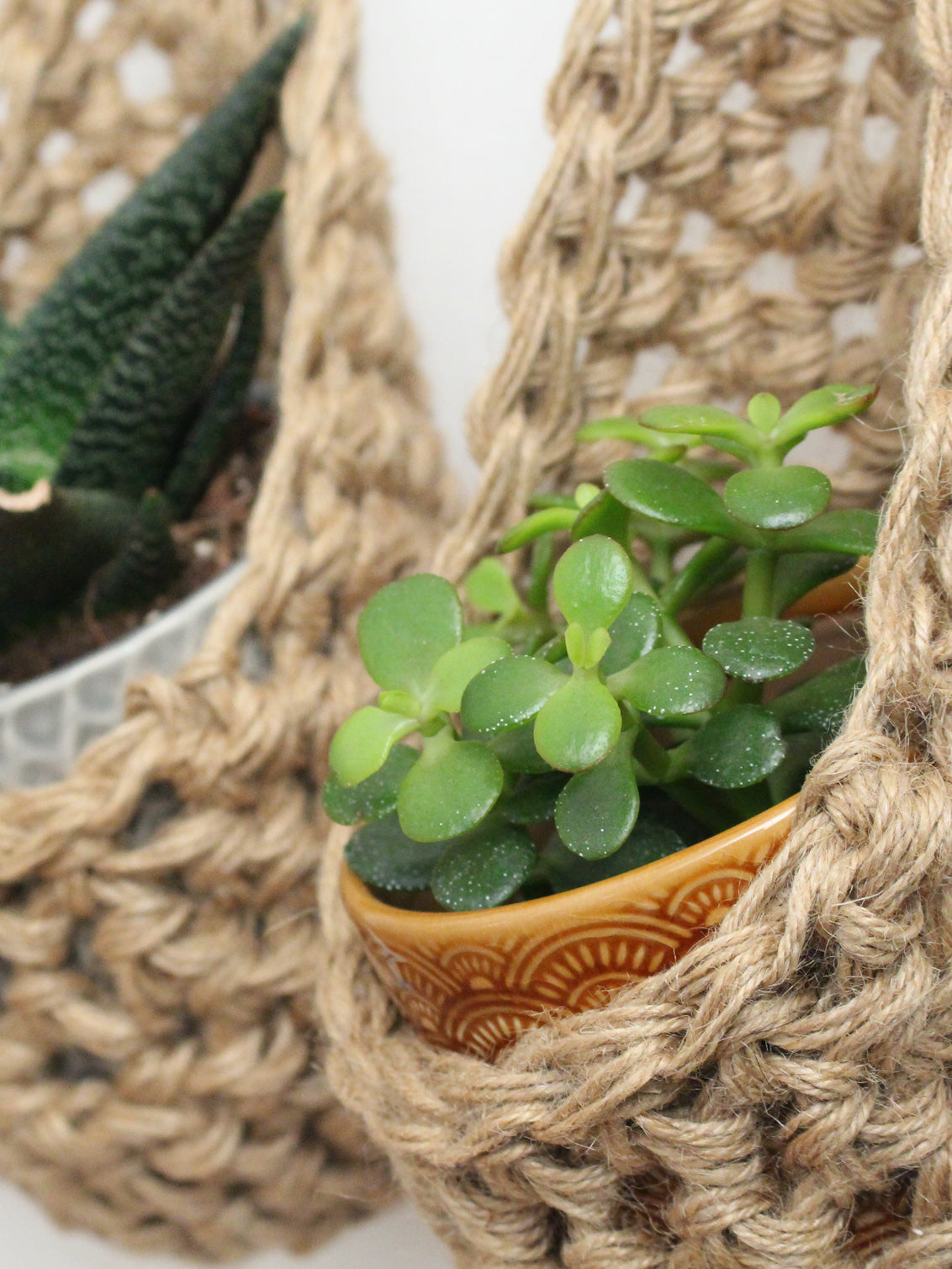Image showing a close up photo of a grouping of 2 tierdrop shaped natural jute wall hanging planters. Each handmade planter is hung against the wall, holding a ceramic pot and plant. Photo is showing a creative sapce saving method of showing of your houseplants. 