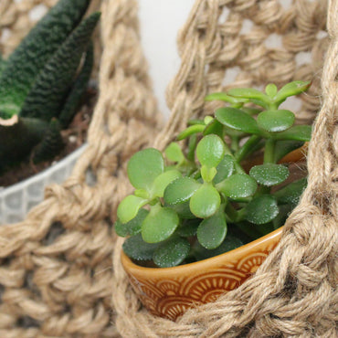 Image showing a close up photo of a grouping of 2 tierdrop shaped natural jute wall hanging planters. Each handmade planter is hung against the wall, holding a ceramic pot and plant. Photo is showing a creative sapce saving method of showing of your houseplants.