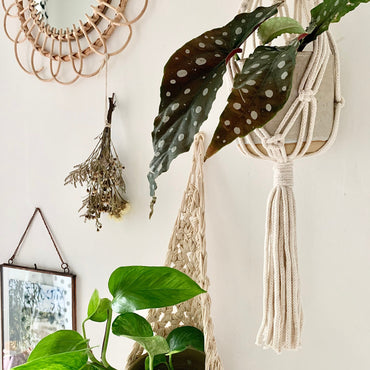 Ivory Macrame Wall Planter