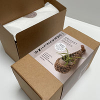 Hanging Planter Crochet Kit