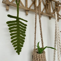 Fern Decoration