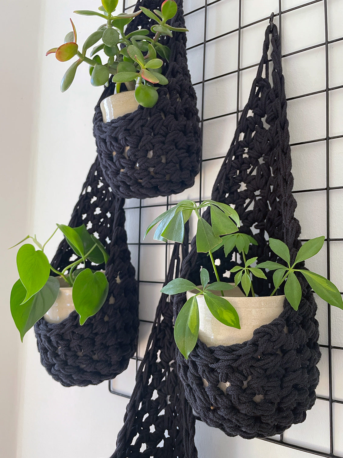 Black Wall Planter