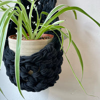 Black Wall Planter