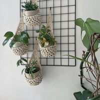 Image showing zoomed out view of a white wall with four cream wall mounted planters hanging together in a group, each one containing a pots and plant. Handmade cotton crochet plant baskets, used to display houseplants creatively in your home. 