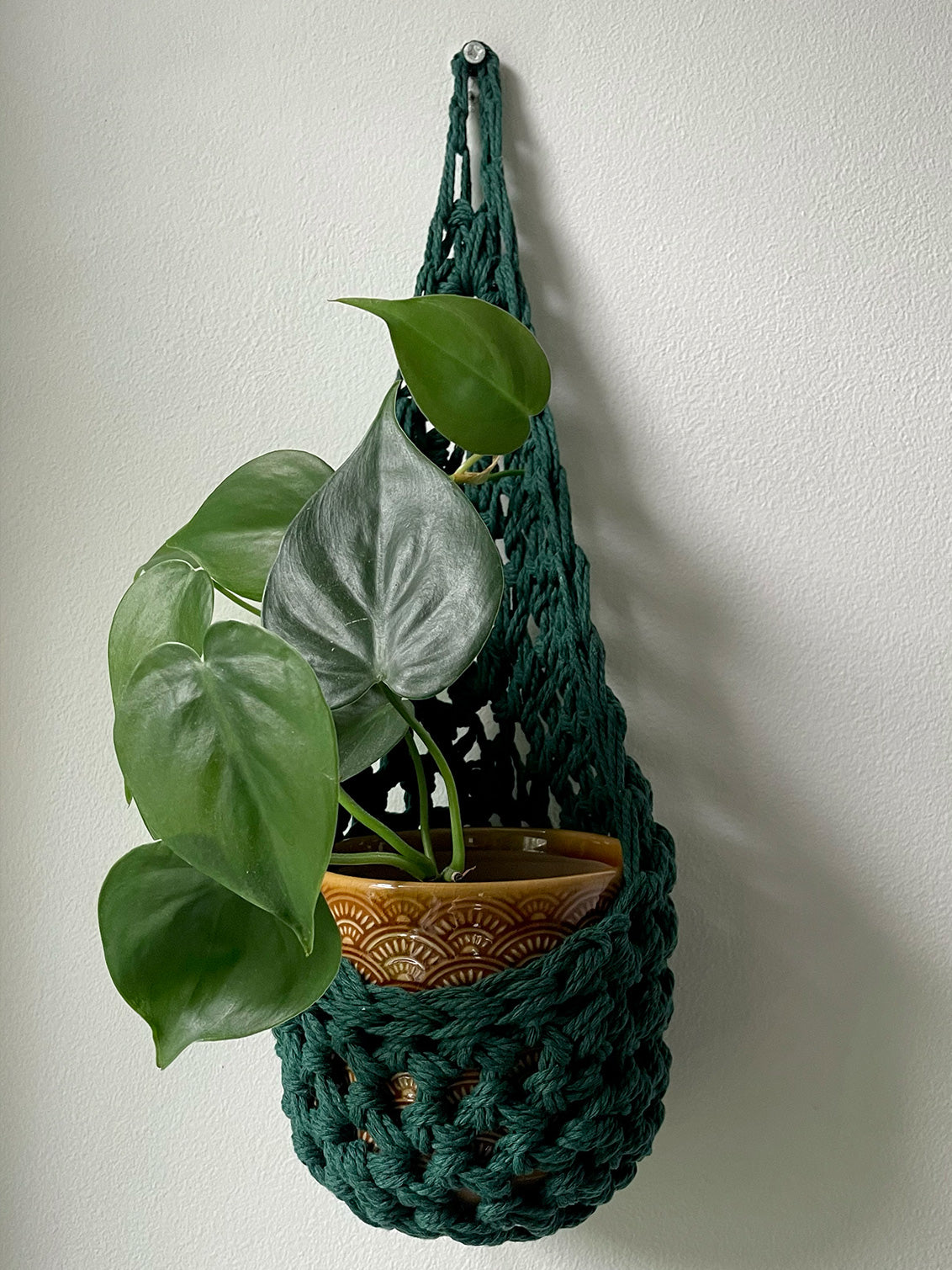 Image showing handmade green wall planter suspended against a white wall showing the tierdrop shape with pot and trailing plant from small nail in the wall