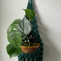 Image showing handmade green wall planter suspended against a white wall showing the tierdrop shape with pot and trailing plant from small nail in the wall