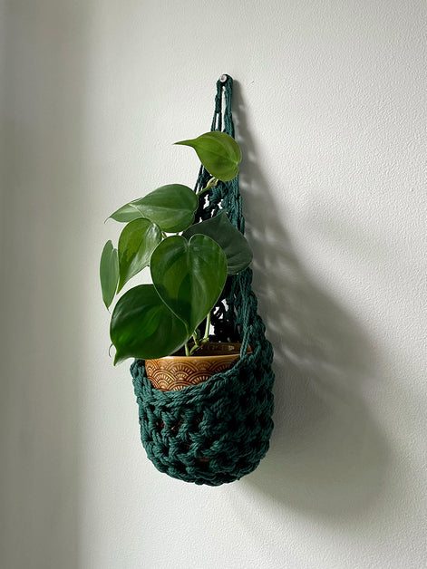 Image showing handmade green wall planter suspended against a white wall showing the tierdrop shape with pot and trailing plant from small nail in the wall