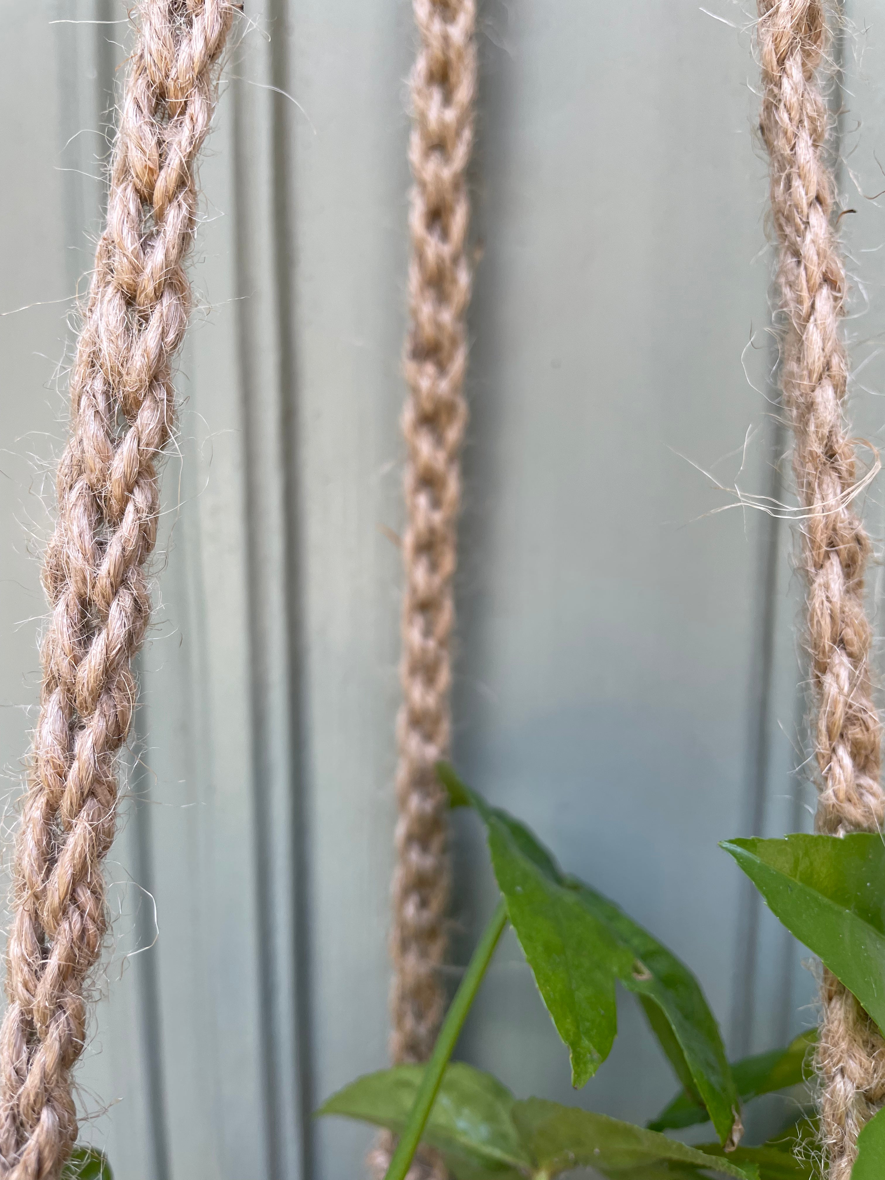 Jute Net Plant Basket