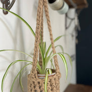 Natural Jute hanging plant holder with three long crocheted straps and pot shaped basket at the bottom of these straps designed for pot to be placed securely, finished with a loop to hang up. Image shows planter hanging in a kitchen, from a hanging rail, with a pot and plant inside.