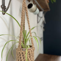 Natural Jute hanging plant holder with three long crocheted straps and pot shaped basket at the bottom of these straps designed for pot to be placed securely, finished with a loop to hang up. Image shows planter hanging in a kitchen, from a hanging rail, with a pot and plant inside.
