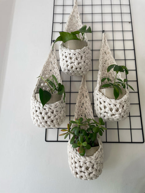 Image of a white wall with four white wall mounted planters hanging together in a group, each one containing a pots and plant. Handmade cotton crochet plant baskets, used to display houseplants creatively in your home. Photo shows the basket shape which keeps your plants safe and secure 