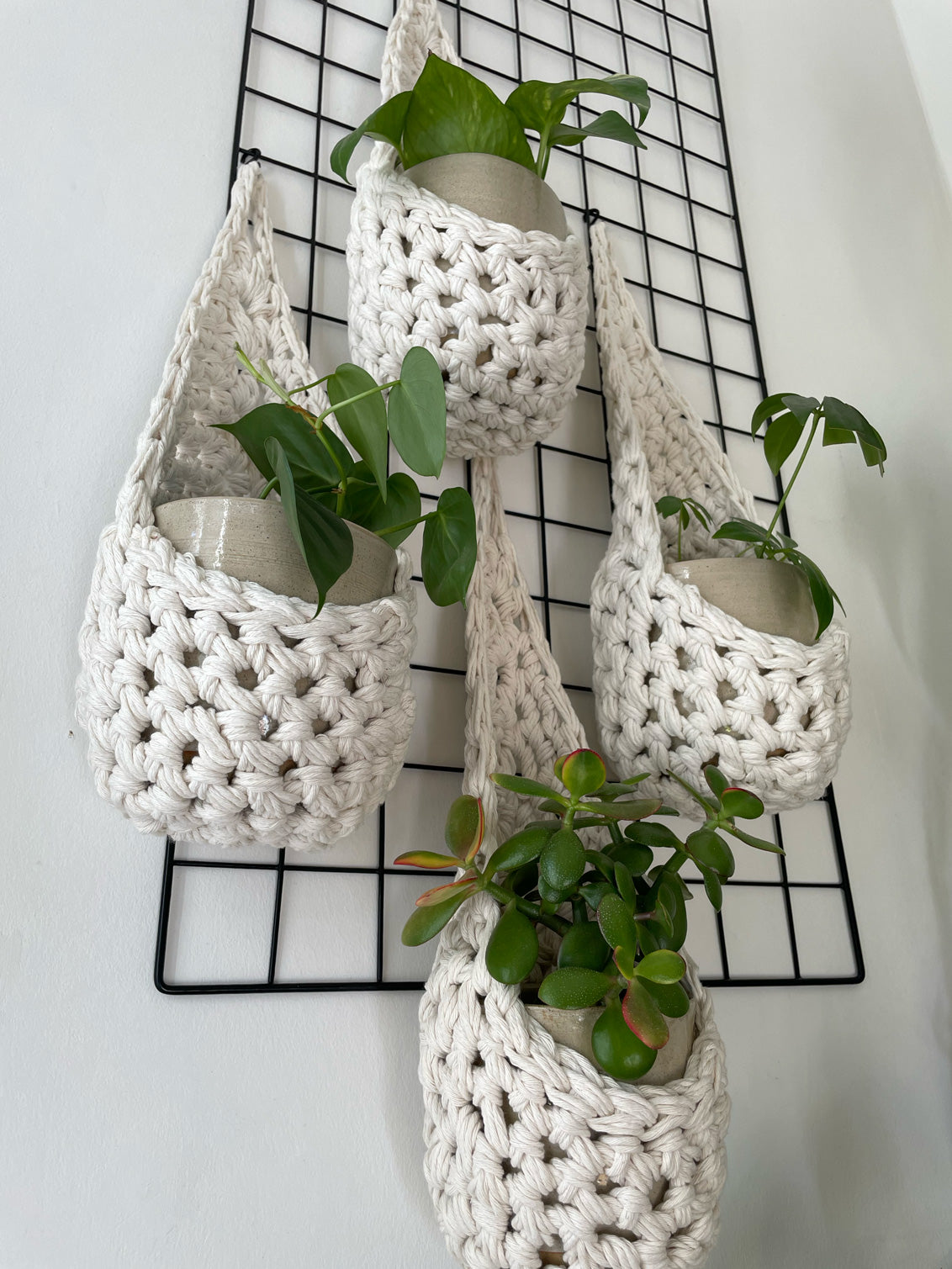 Image showing low angled shot of a white wall with four white wall mounted planters hanging together in a group, each one containing a pots and plant. Handmade cotton crochet plant baskets, used to display houseplants creatively in your home. Photo shows the basket shape which keeps your plants safe and secure. 