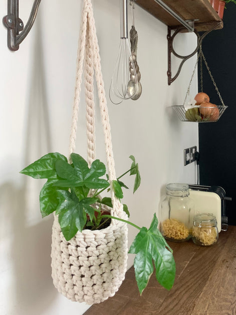 Indoor cream cotton hanging plant holder with three long crocheted straps, finished with a loop to hang up. Image shows planter hanging in a kitchen, from a hanging rail, with a pot and plant inside. Made with recycled cotton cord.