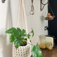 Indoor cream cotton hanging plant holder with three long crocheted straps, finished with a loop to hang up. Image shows planter hanging in a kitchen, from a hanging rail, with a pot and plant inside. Made with recycled cotton cord.