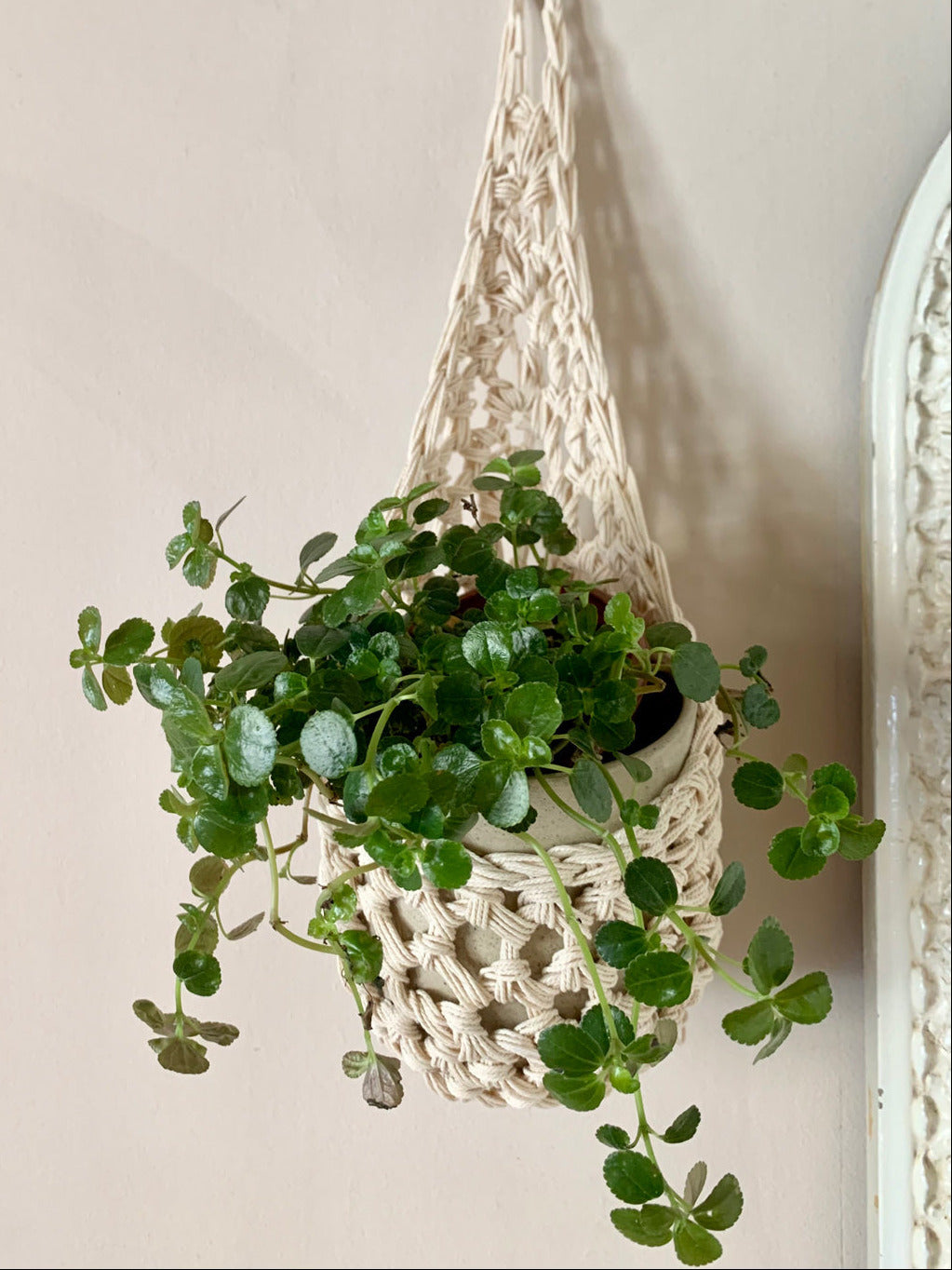 Image of single ivory cotton crochet hanging wall planter against a wall of a bedroom. The photo shows the planter with a pot and plant inside it, in order to demonstate tierdrop shape of design. Hanging by a small nail in the wall.