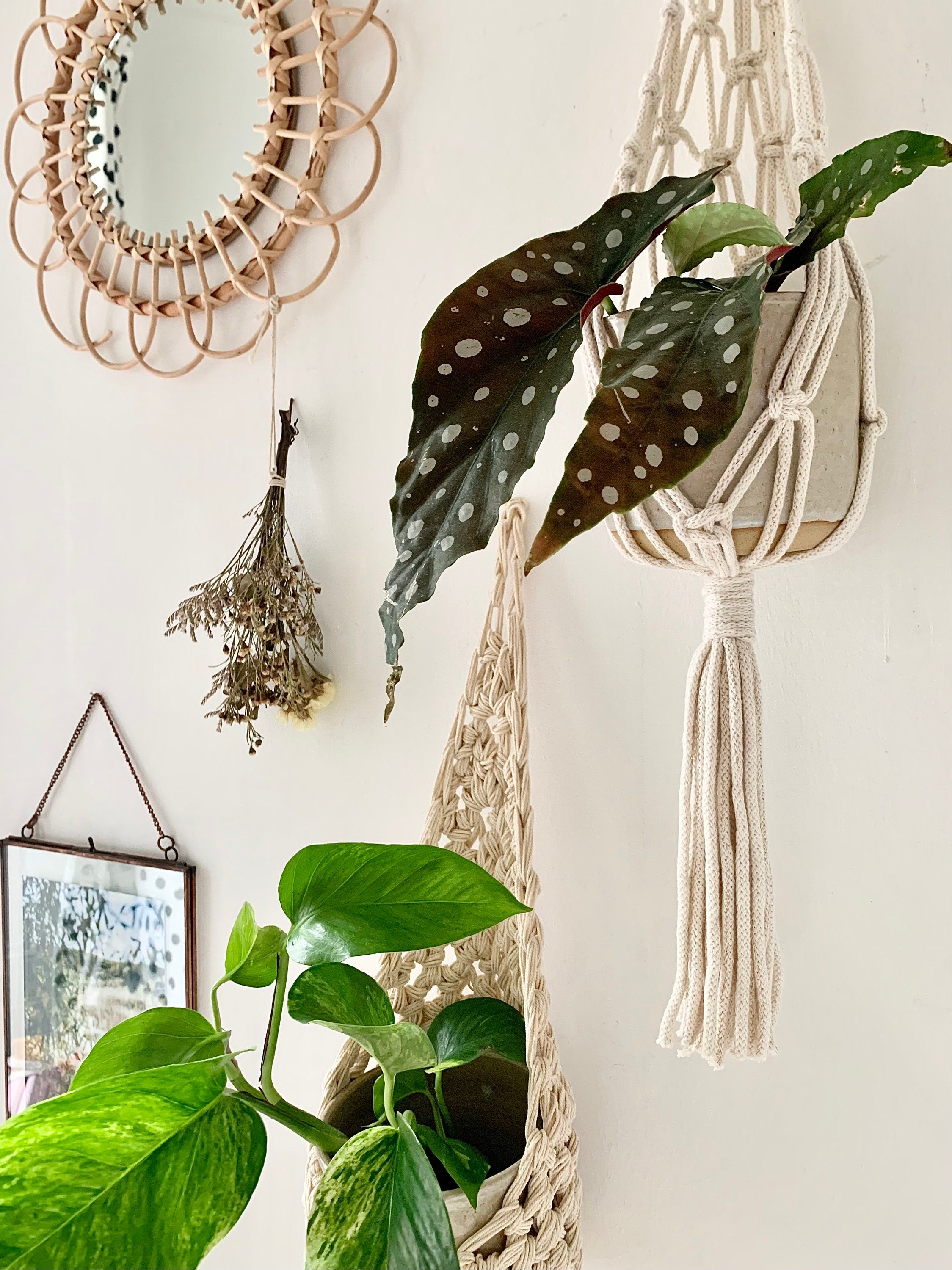 Ivory Macrame Wall Planter